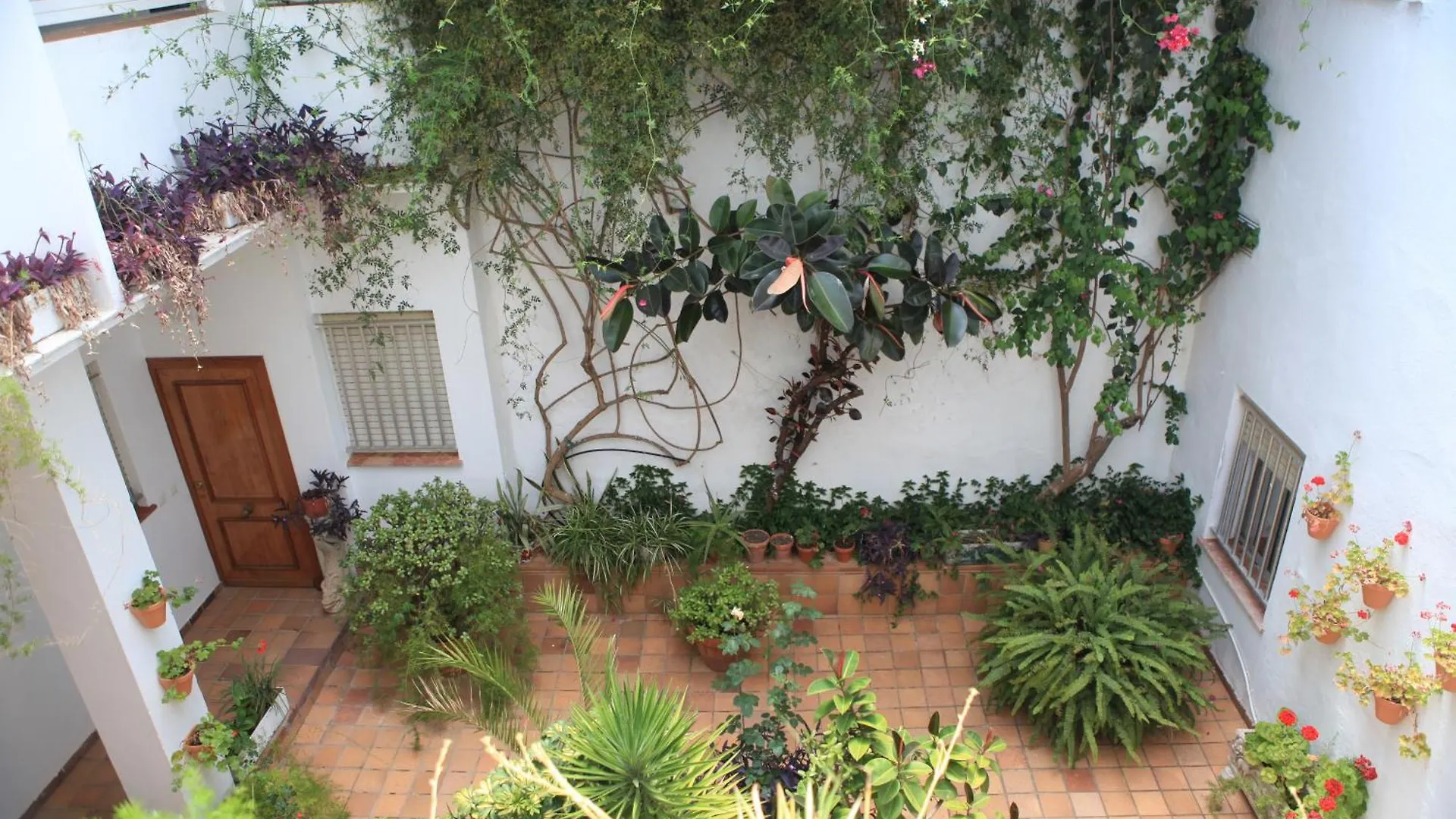 Hotel El Coloso Jerez de la Frontera Spain