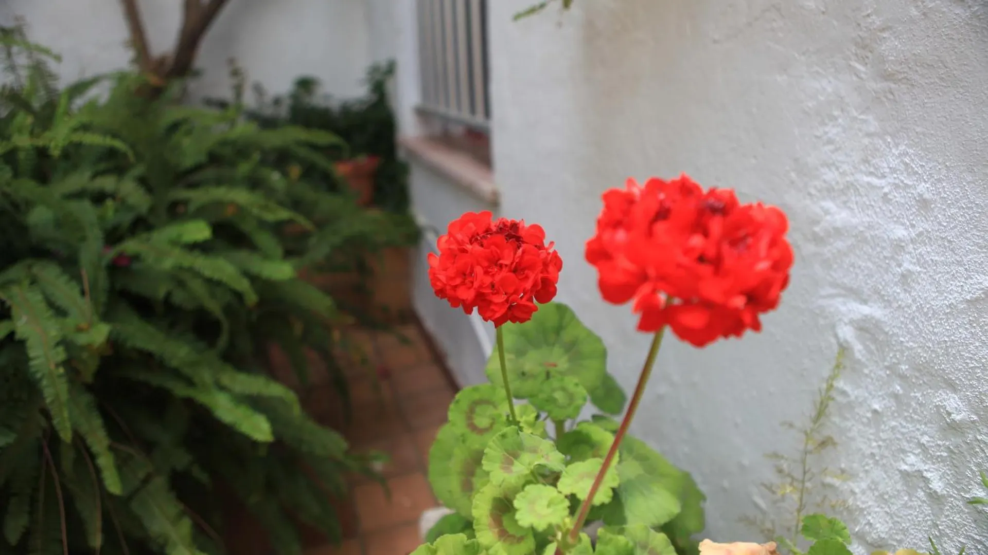 Hotel El Coloso Jerez de la Frontera